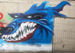 Photo #252044 by iobe1