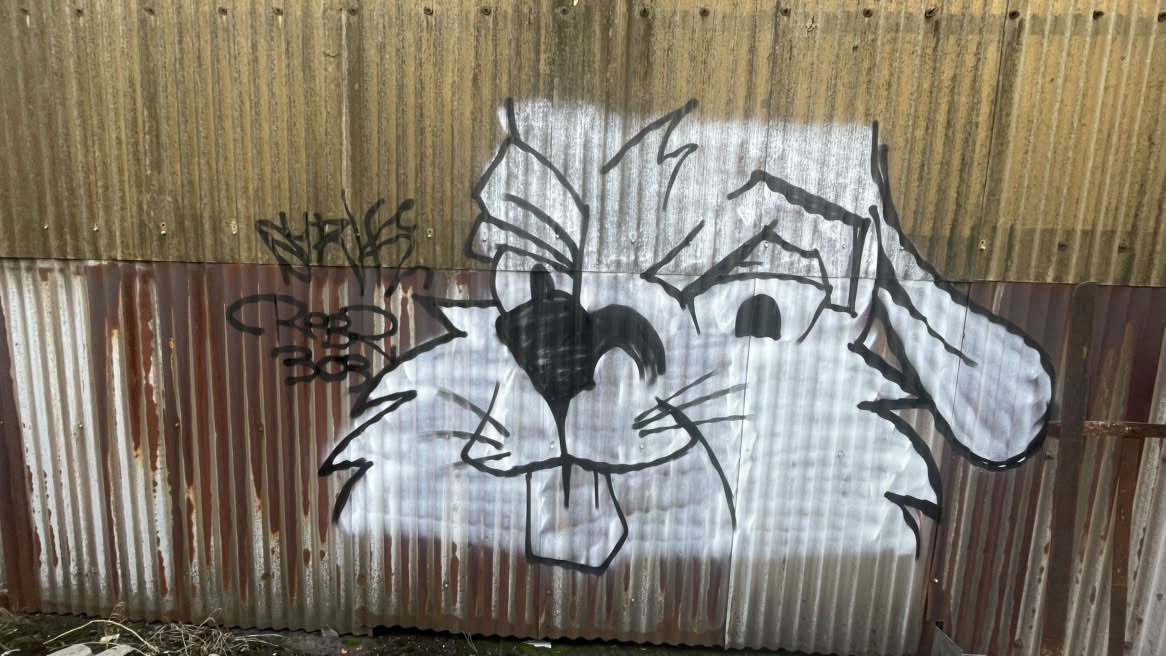 Graffiti Bombing - Photo by rebl303