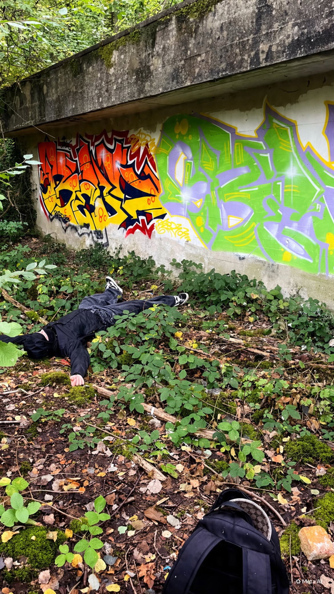 Graffiti Bombing - Photo by rebl303