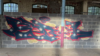 Graffiti Bombing - Photo by rebl303