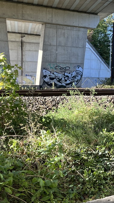 Graffiti Bombing - Photo by rebl303