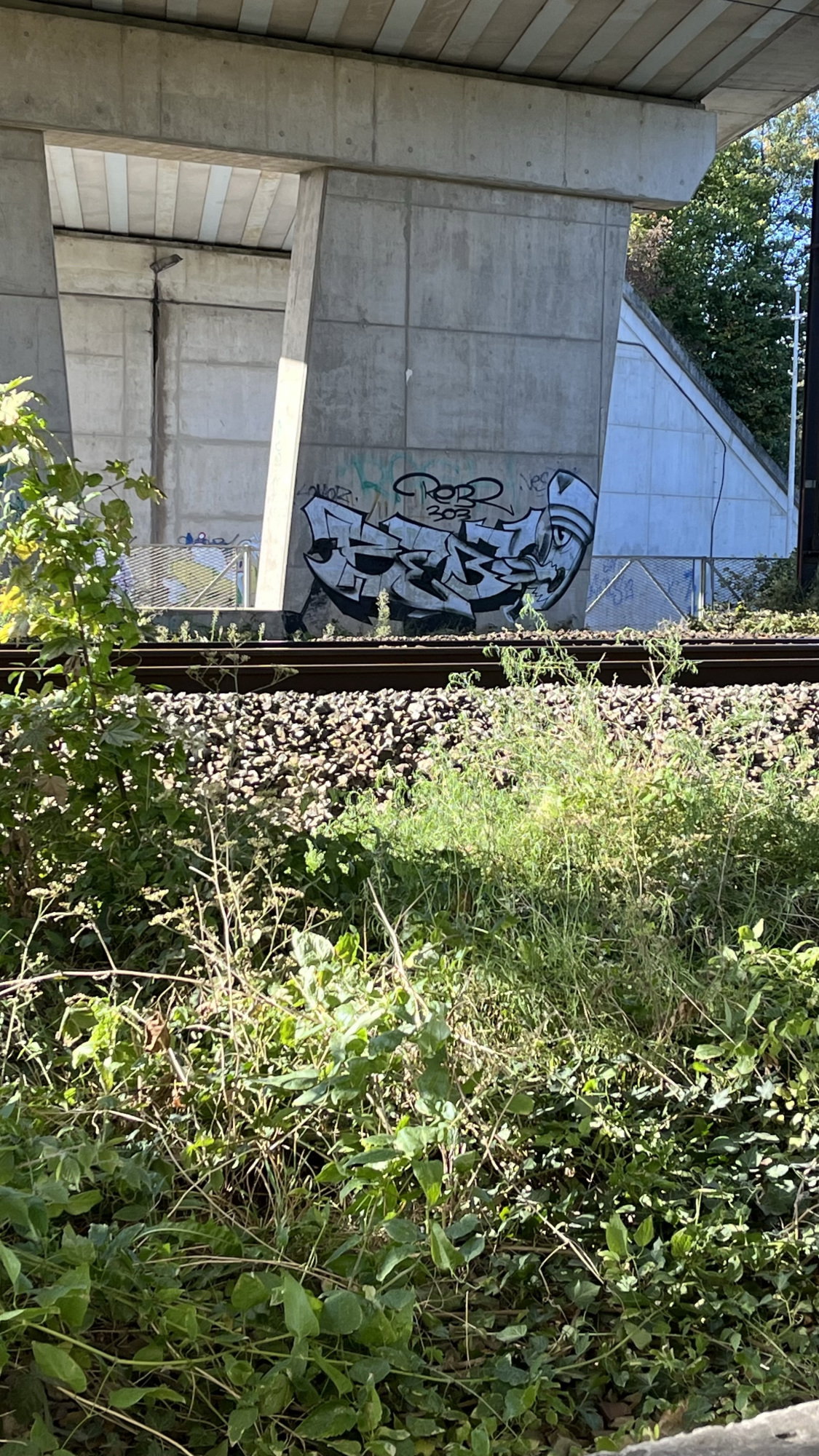 Graffiti Bombing - Photo by rebl303