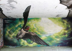 Photo #47875 by oldenburgcity