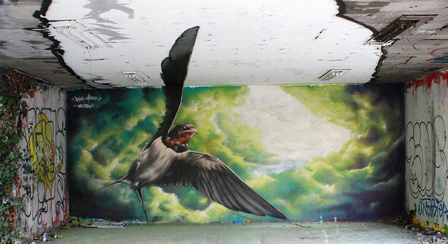 Graffiti Wall - Photo by regi - tfs, tsf3d (2011)