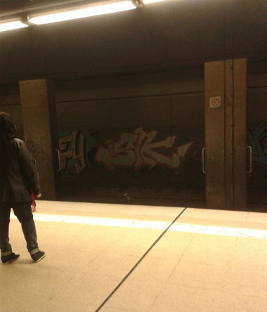 Graffiti Bombing - Photo by register