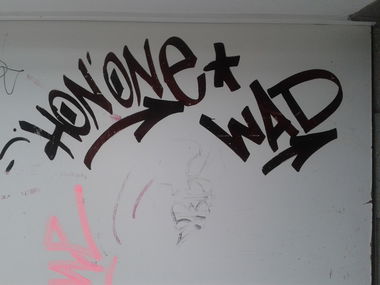 Graffiti Bombing - Photo by register