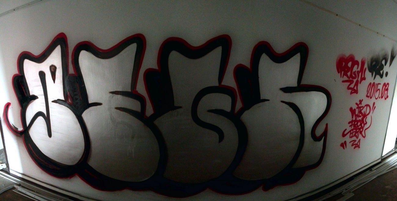 Graffiti Bombing - Photo by regn (2015)