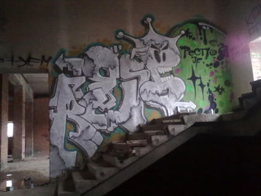 Graffiti Bombing in Krasnoznamensk - Photo by reps