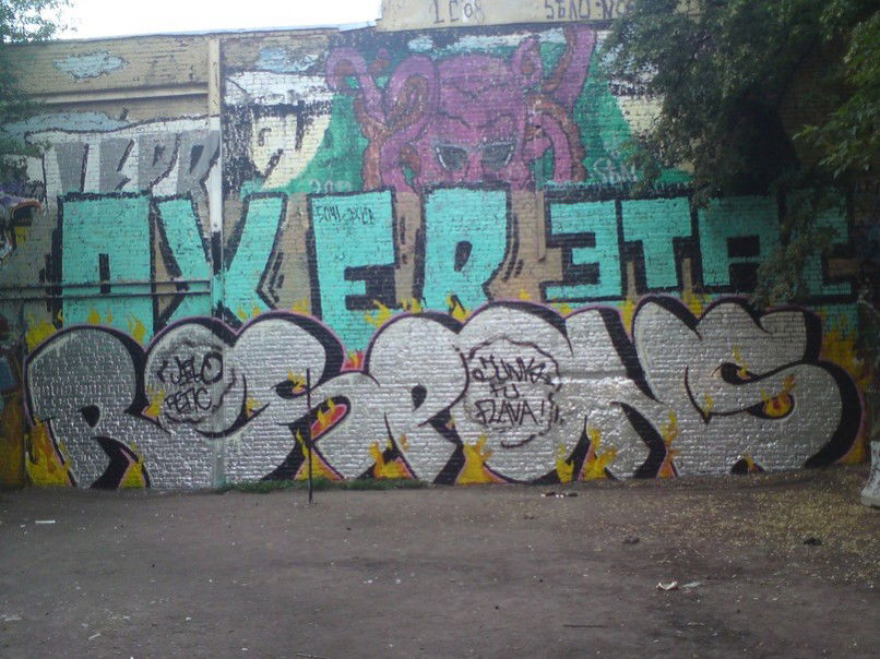 Graffiti Bombing - Photo by reps