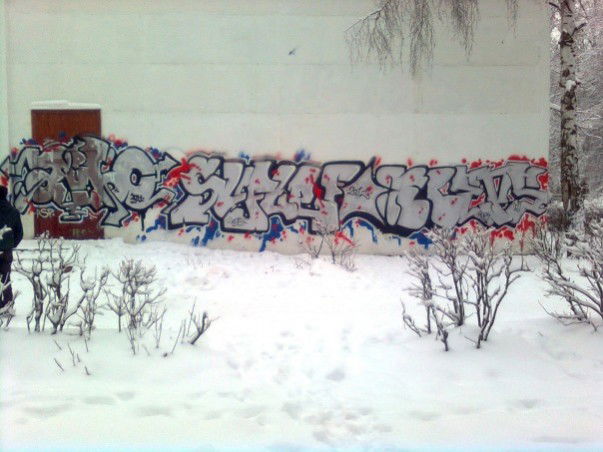 Graffiti Bombing - Photo by reps