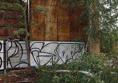 Photo #204397 by 19xllls