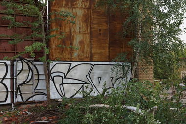 Graffiti Bombing - Photo by restoneizm1 - graffiti, walls, russia (2016)