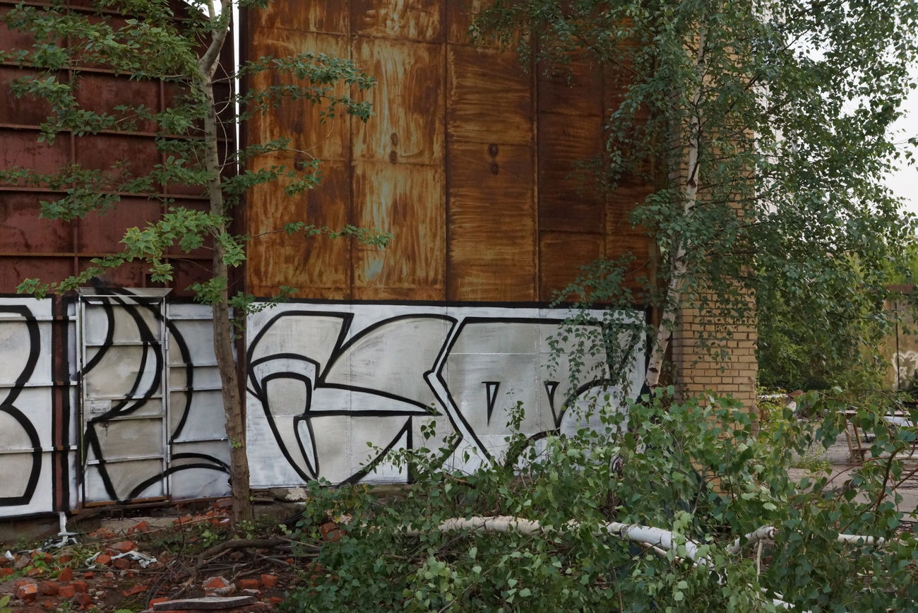 Graffiti Bombing - Photo by restoneizm1 - graffiti, walls, russia (2016)