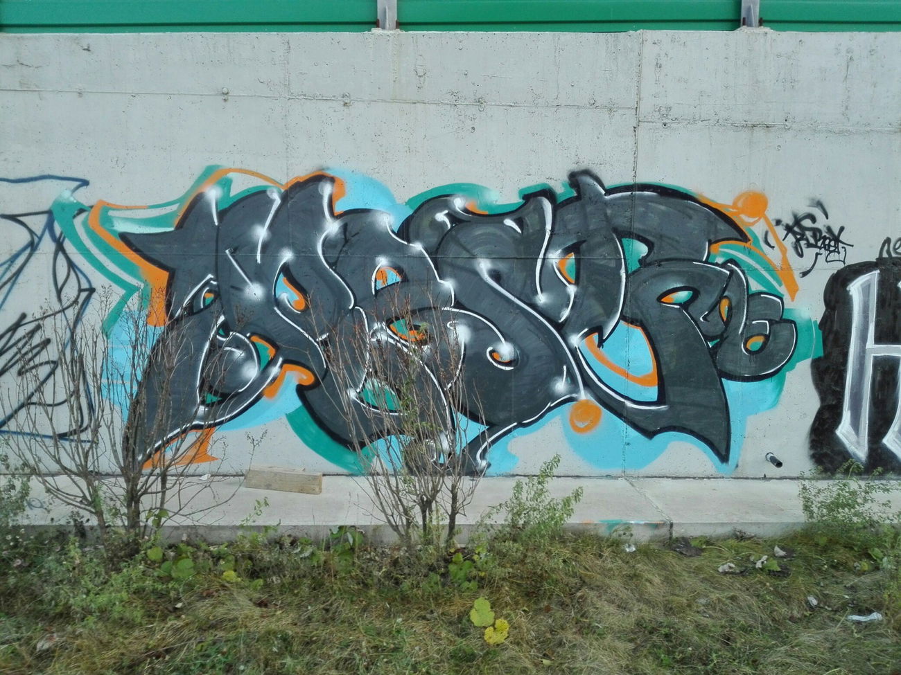 Graffiti Bombing - Photo by restoneizm1 - graffiti, walls, russia (2015)