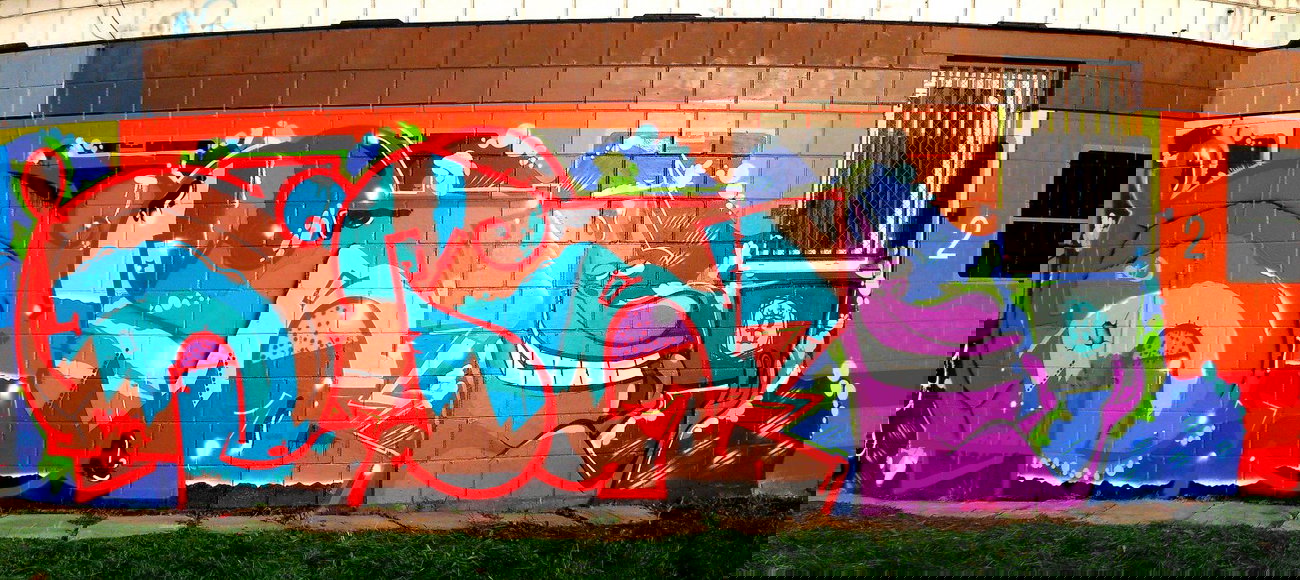 Graffiti Train - Photo by ribse - BN'S