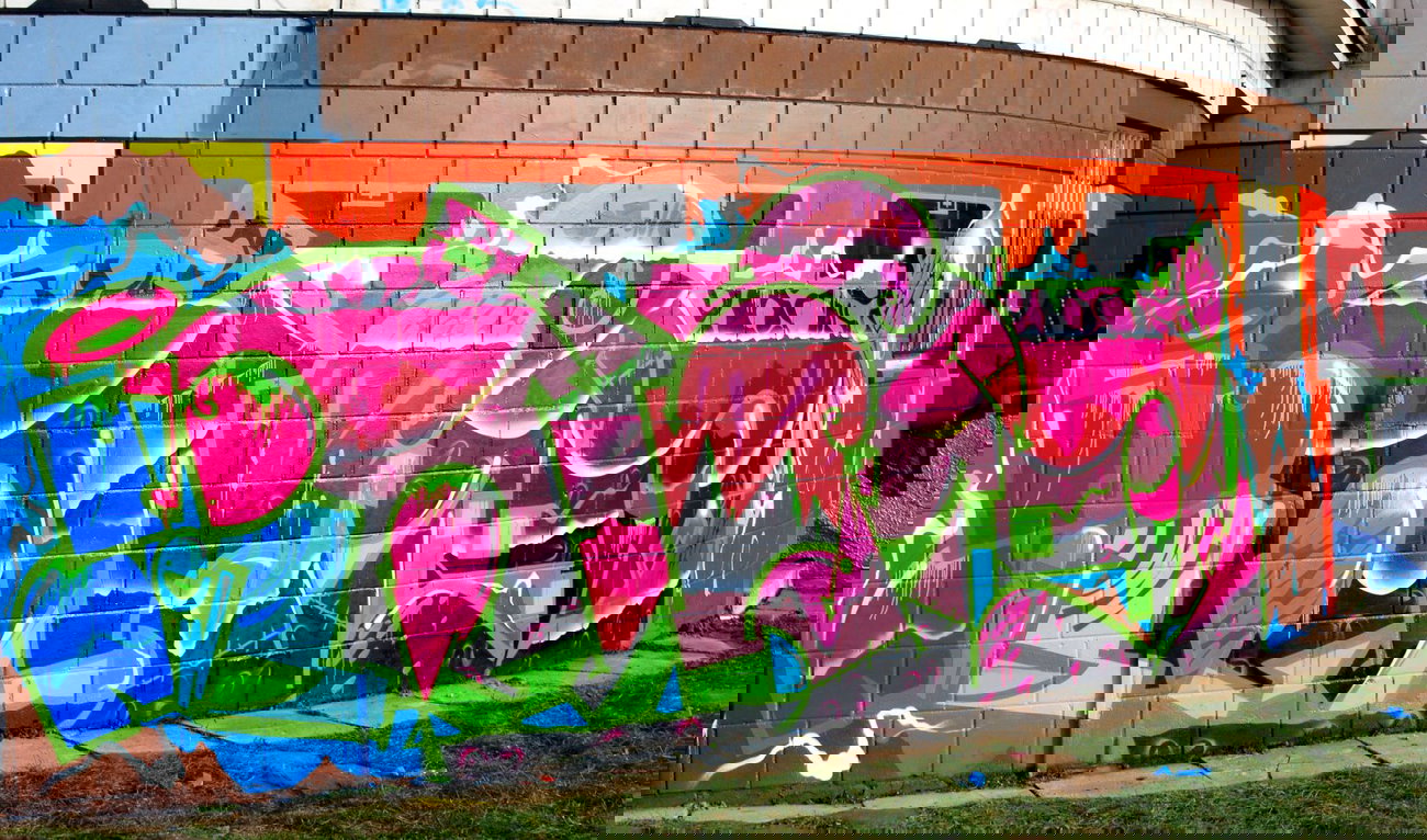 Graffiti Wall - Photo by ribse - BN