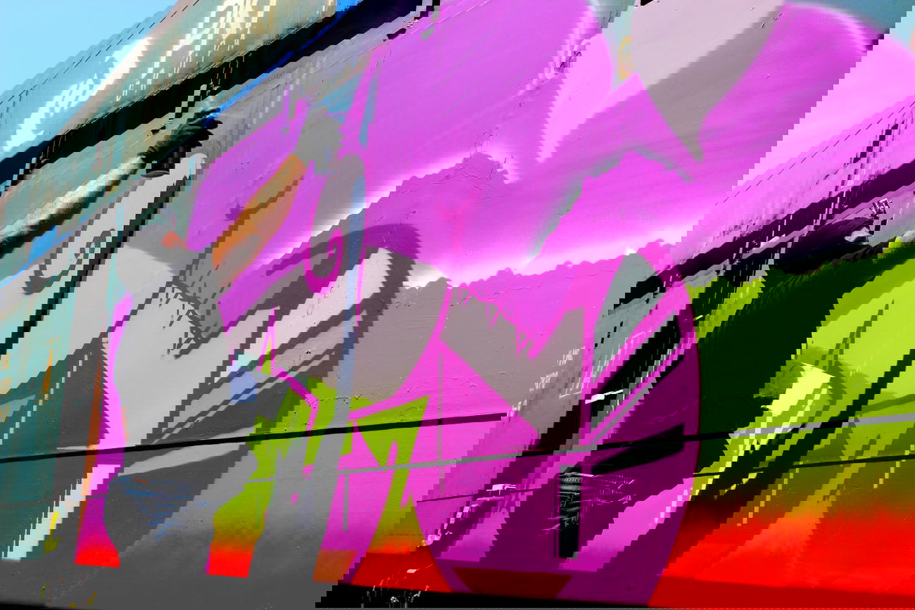 Graffiti Train - Photo by ribse