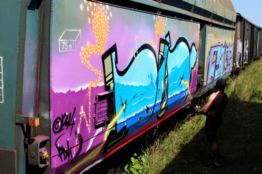 Graffiti Train - Photo by ribse