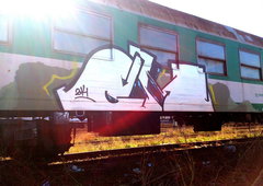 Photo #101719 by koal