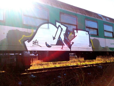 Graffiti Train - Photo by ribse