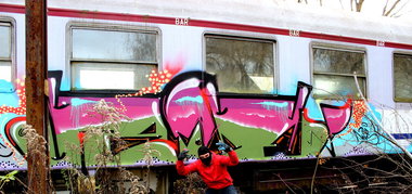 Graffiti Train - Photo by ribse