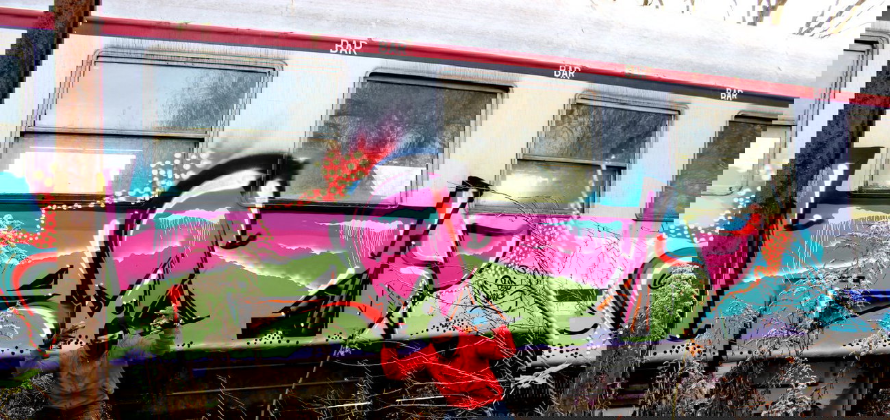 Graffiti Train - Photo by ribse