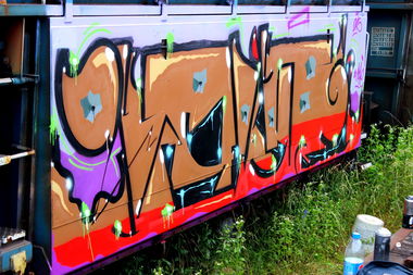 Graffiti Train - Photo by ribse - RIBSE, BN