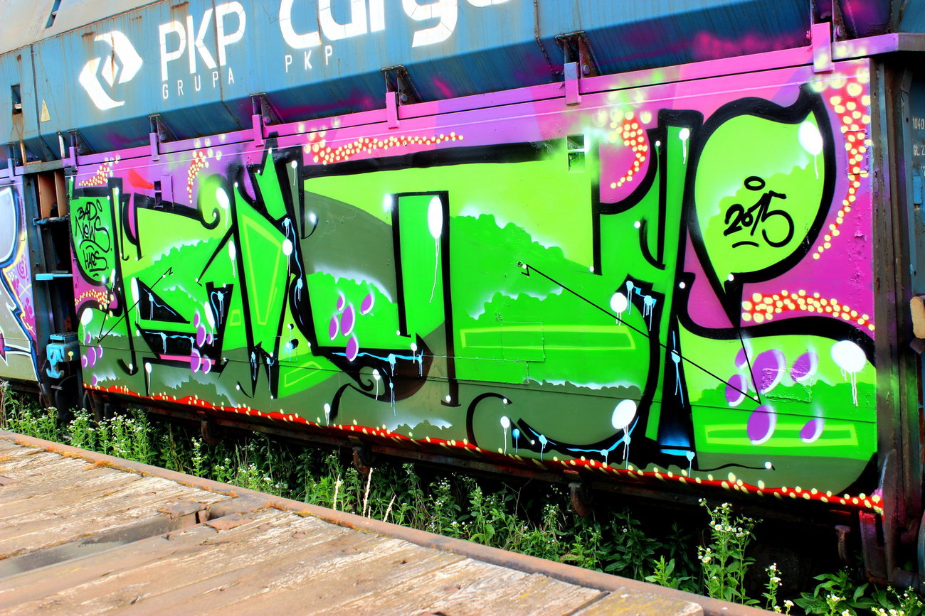 Graffiti Train - Photo by ribse