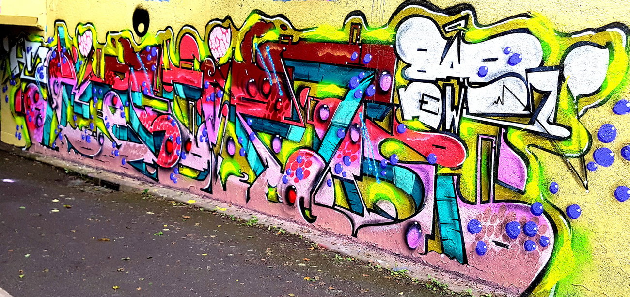 Graffiti Wall - Photo by ribse - ESBIR, BNHS