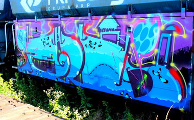 Graffiti Train - Photo by ribse