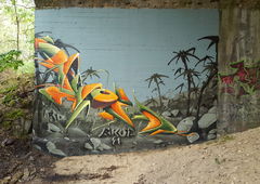 Photo #223545 by AiveOne