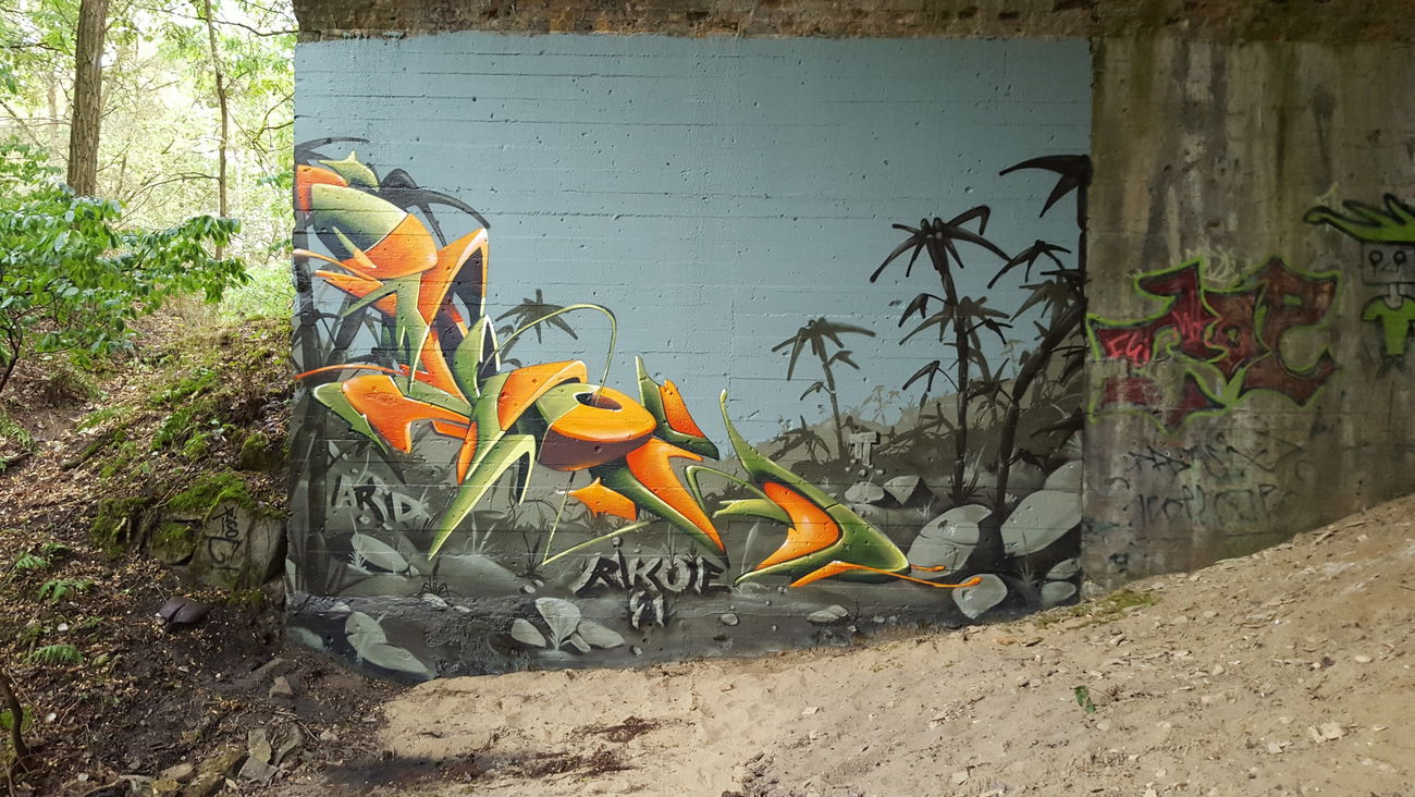 Graffiti Wall in Deutschland - Photo by ricoe21 - Ricoe21, Rikoe21, PIE (2018)