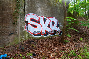 Graffiti Bombing - Photo by ricoe21 - SKR, Ricoe21 (2015)