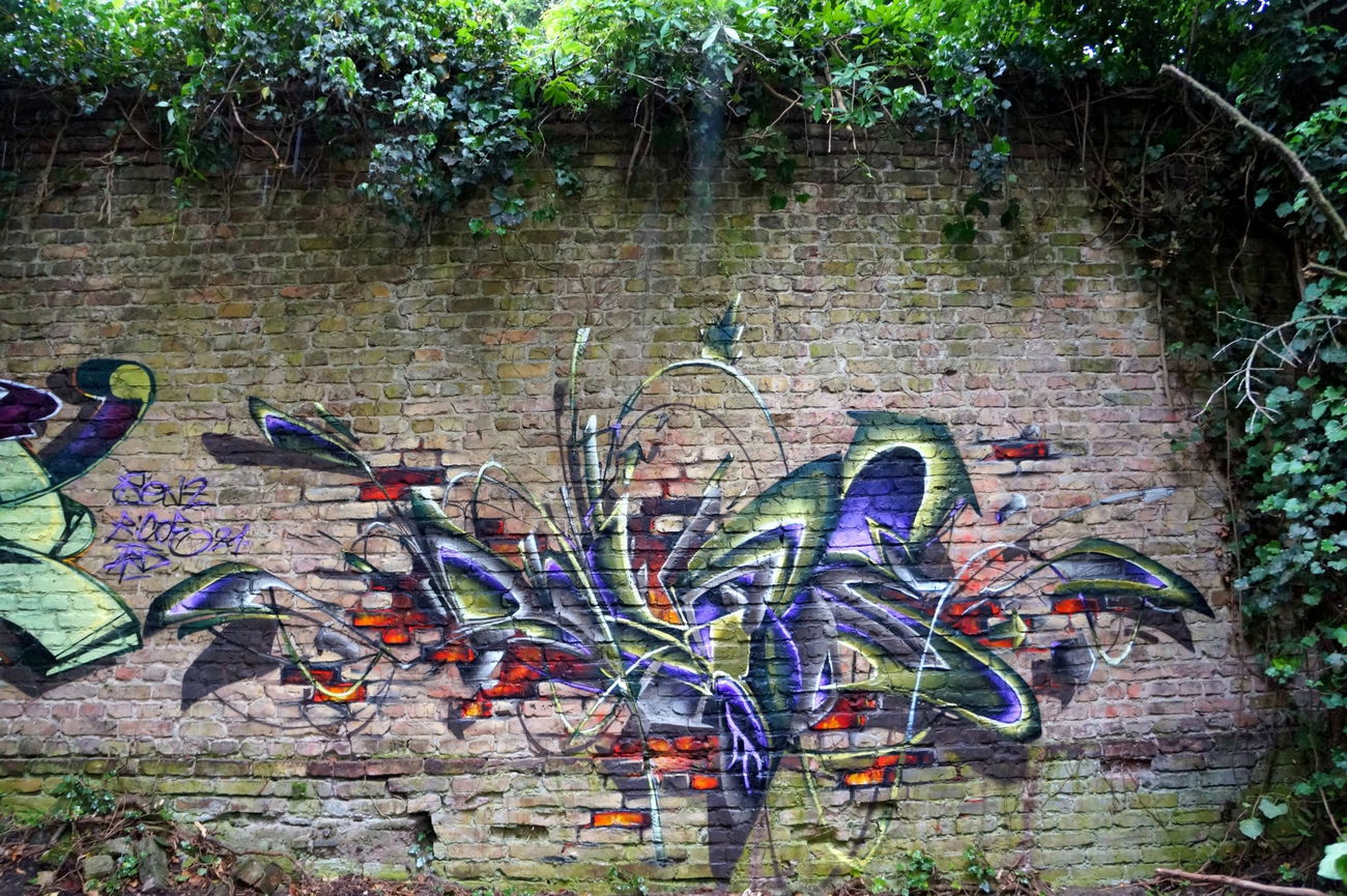 Graffiti Wall in Deutschland - Photo by ricoe21 - Ricoe21, Rikoe, Benz (2017)