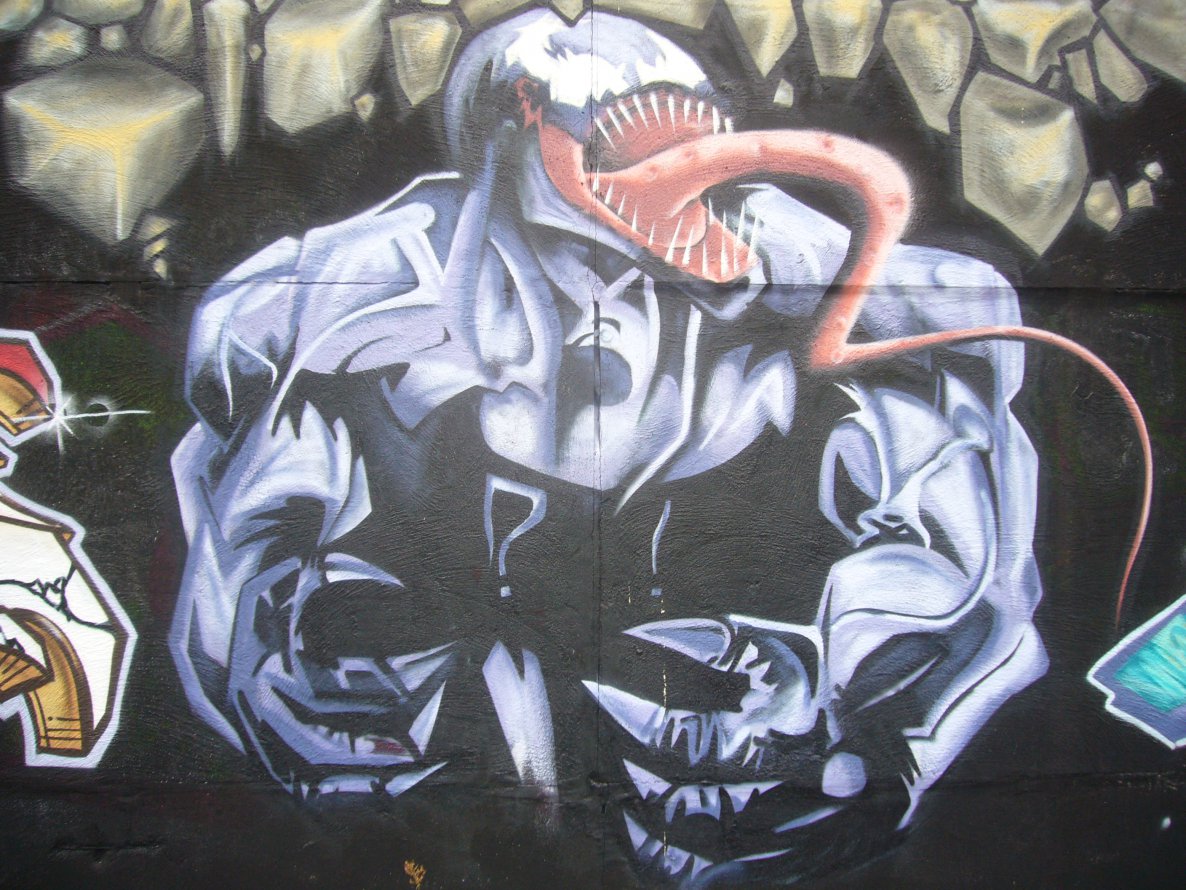 Graffiti Wall in Berlin - Photo by ricoe21 - Venom, Ricoe (2008)