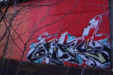 Graffiti Bombing in Berlin - Photo by ricoe21 (2013)