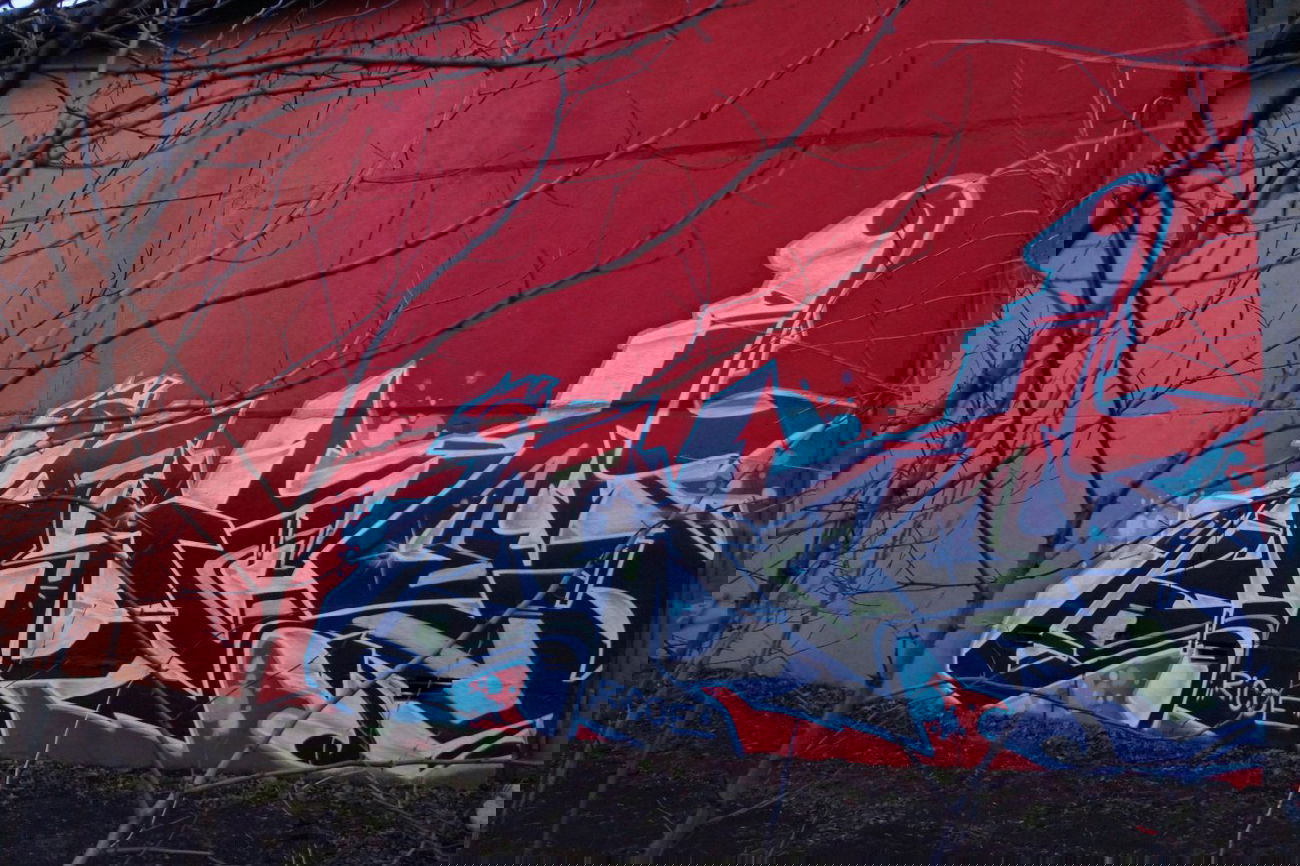 Graffiti Bombing in Berlin - Photo by ricoe21 (2013)