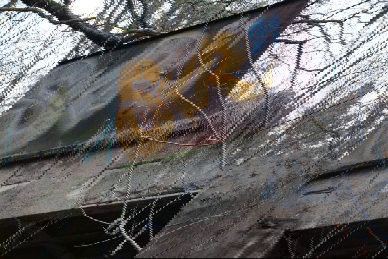 Graffiti Bombing in Stahnsdorf - Photo by ricoe21 - SKR, 21 (2012)