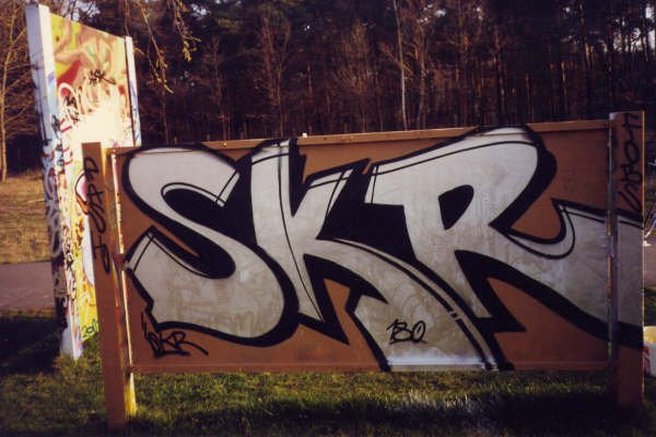 Graffiti Bombing in Kleinmachnow - Photo by ricoe21 - Pash, SKR, 180 (2004)