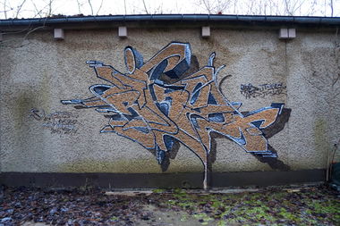 Graffiti Bombing in Deutschland - Photo by ricoe21 - Ricoe21 (2016)
