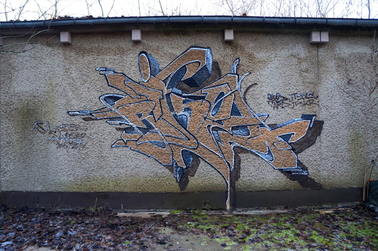 Graffiti Bombing in Deutschland - Photo by ricoe21 - Ricoe21 (2016)