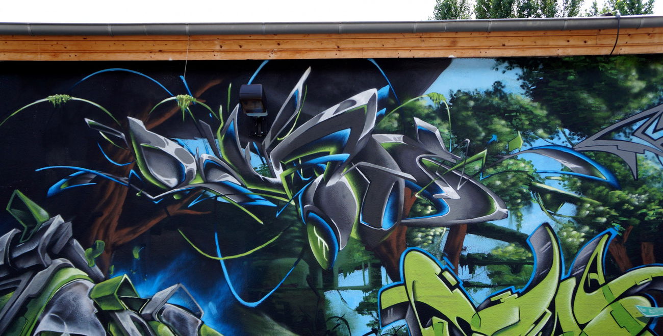 Graffiti Wall - Photo by ricoe21 - Ricoe21, Rikoe, Dizoe (2017)