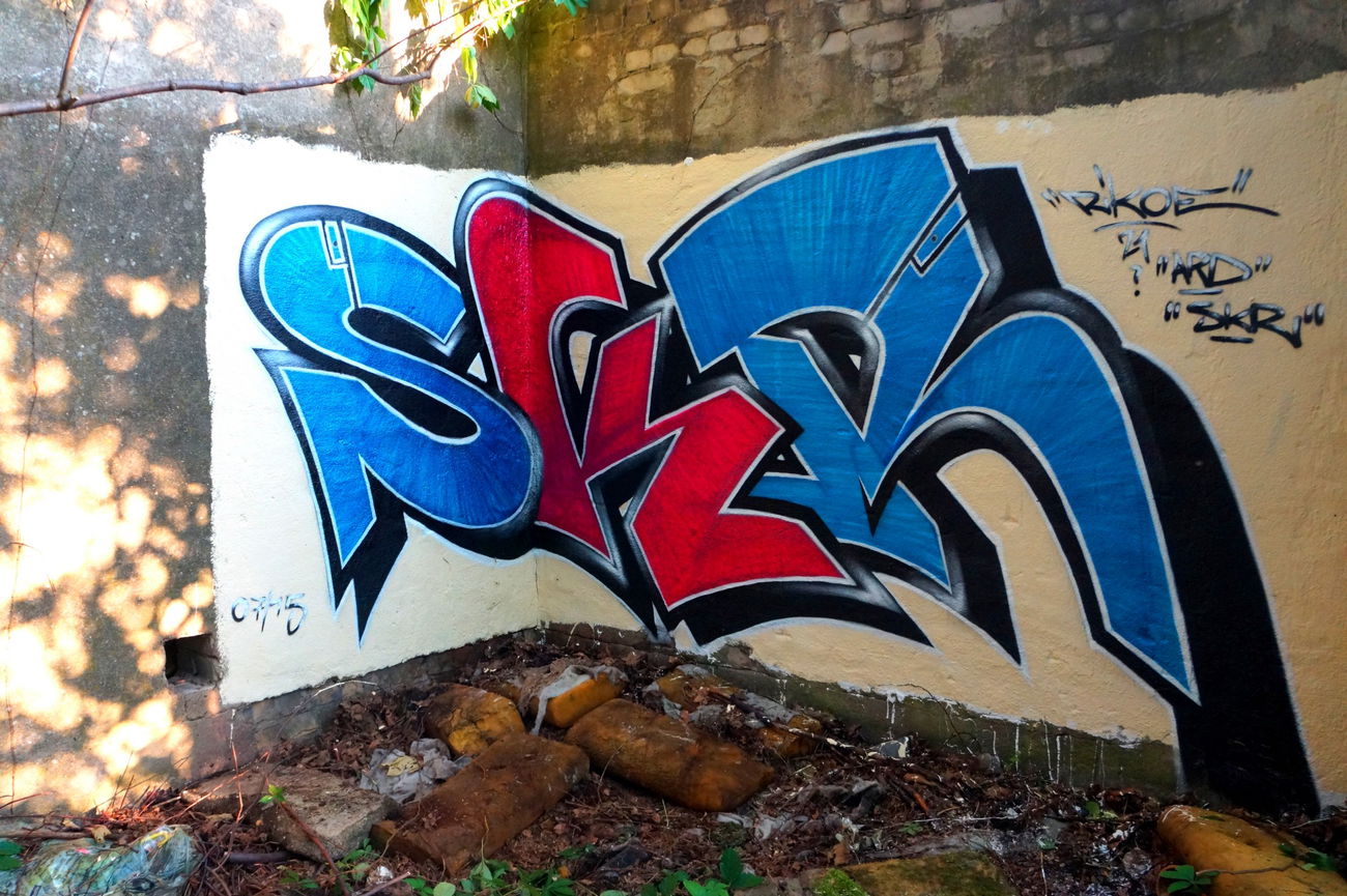 Graffiti Bombing in Deutschland - Photo by ricoe21 - SKR, Ricoe21, ARD (2015)