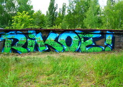 Graffiti Bombing in Deutschland - Photo by ricoe21 - Rikoe21 (2015)