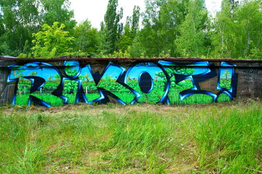 Graffiti Bombing in Deutschland - Photo by ricoe21 - Rikoe21 (2015)