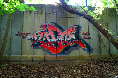 Graffiti Bombing - Photo by ricoe21 - Rikoe, ARD, SKR (2015)