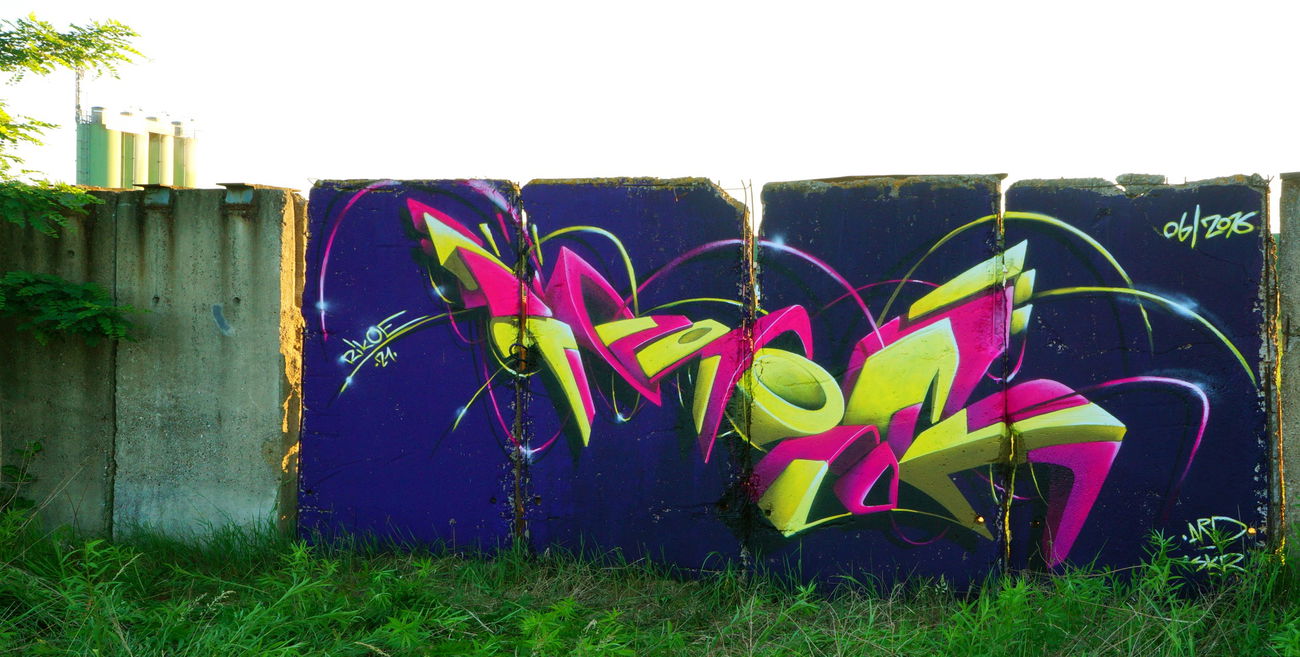 Graffiti Bombing in Deutschland - Photo by ricoe21 - Rikoe, ARD, SKR (2016)