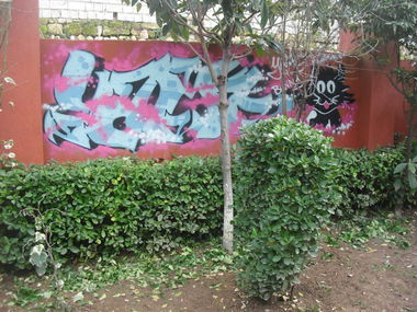 Graffiti Wall in Hatay - Photo by rokesyami - yami, cat, rokes (2013)