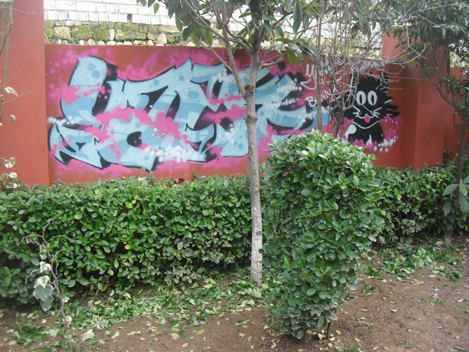 Graffiti Wall in Hatay - Photo by rokesyami - yami, cat, rokes (2013)