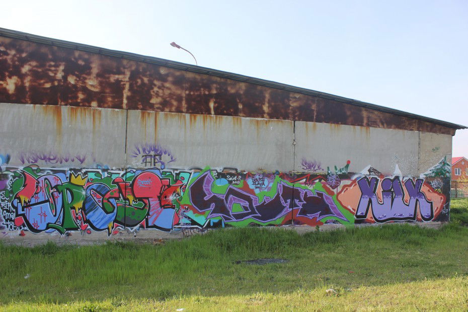 Graffiti Wall in Krasnodar - Photo by roman_kilk - srost, kust, romek (2013)